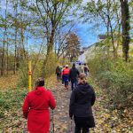 Nordic Walking Gruppe Wald Weilimdorf Korntal Menschen von hinten Stöcke Natur Gesundheitskurs Franziska Barth